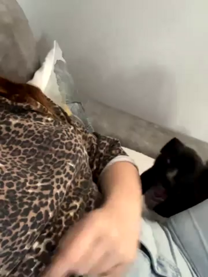 alexababy