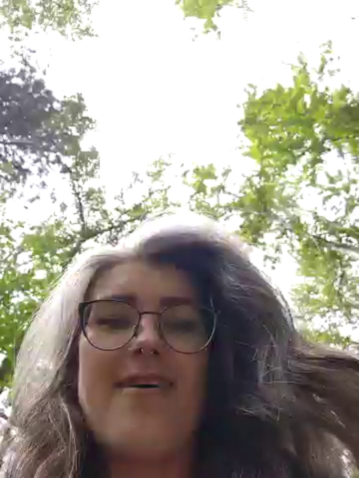 Lilmissvyx