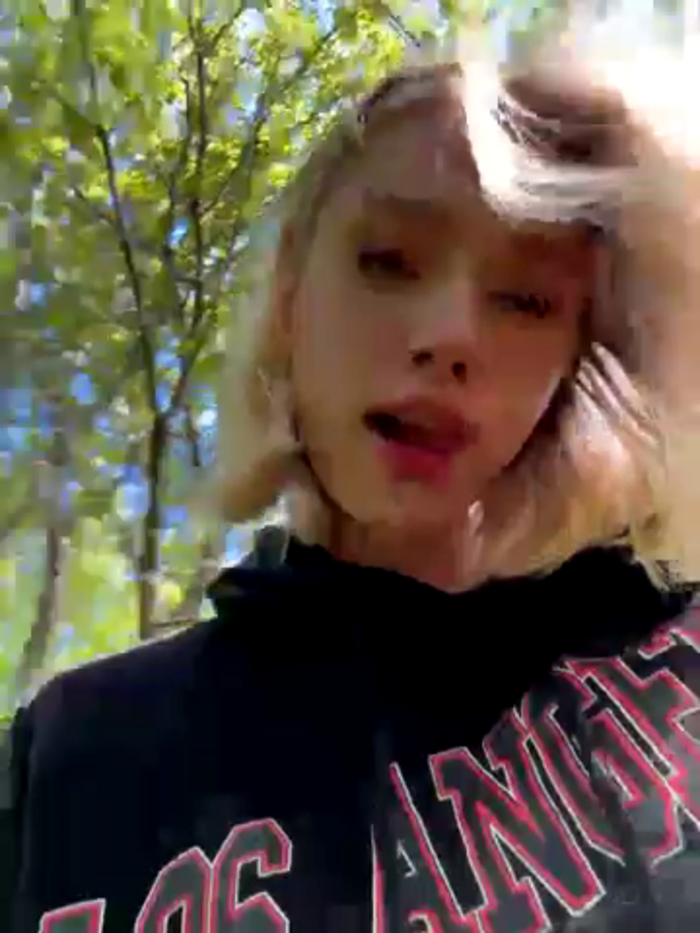 SSSATIVA_model