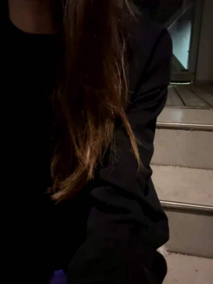 AniGi-