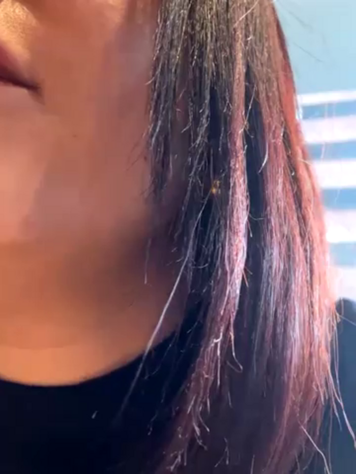 hollyshit_