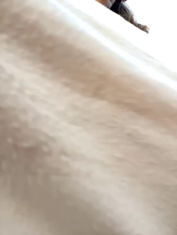 didihairypussy