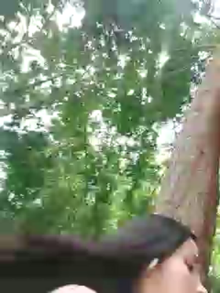 miaeyes