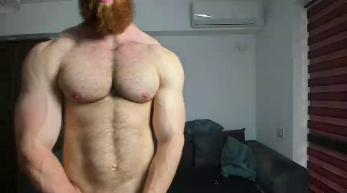 ZkkBlitz