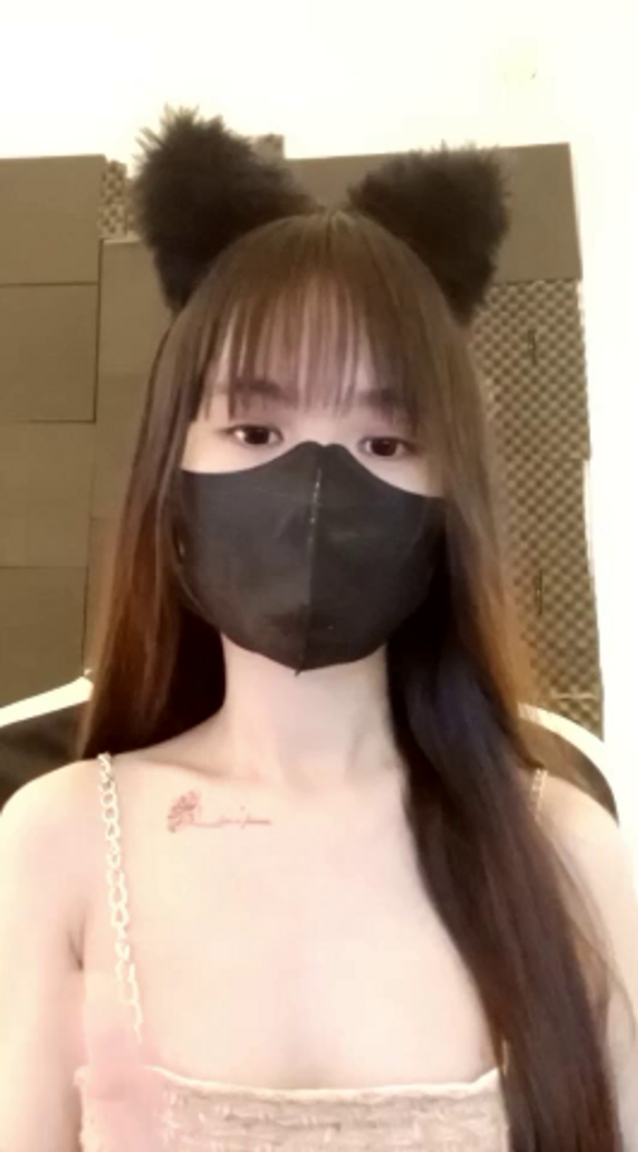 Cat_baby69