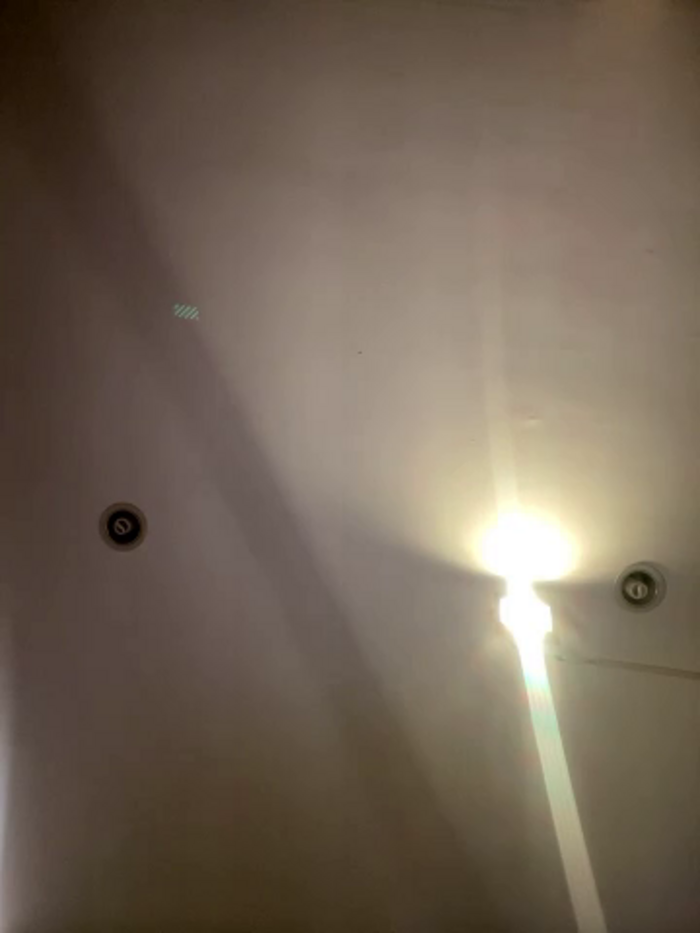 Alexandra_duque