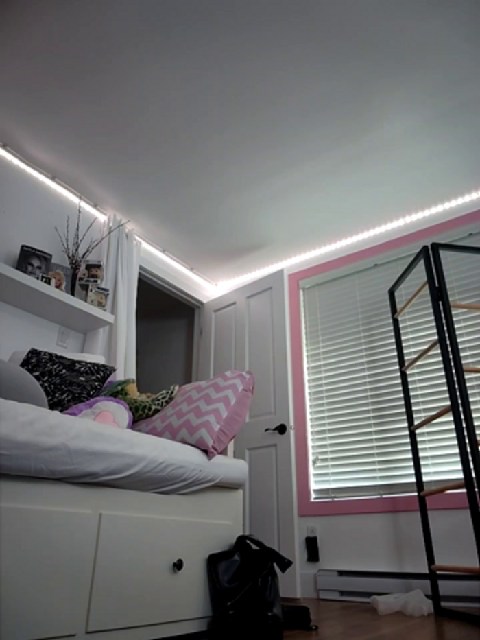 LilyOrion