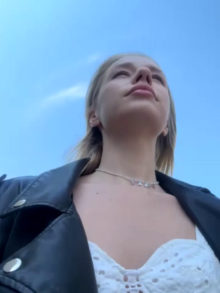 SSSATIVA_model