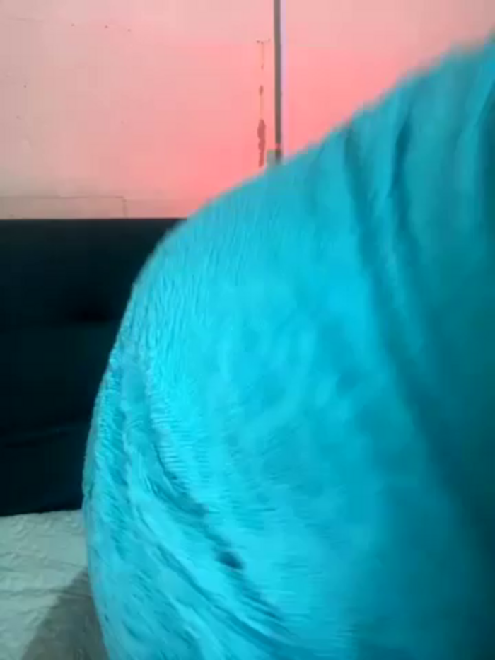 samantha_cooper_66
