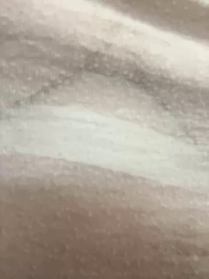 didihairypussy