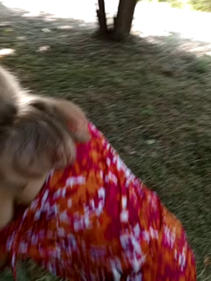 dad___mom