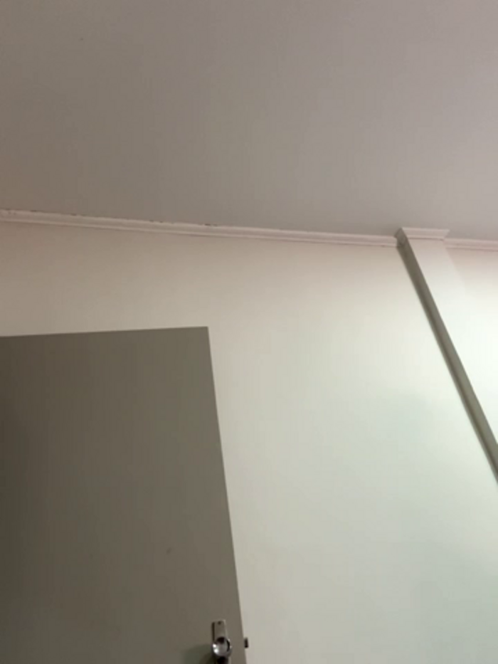 kiarafonseca_