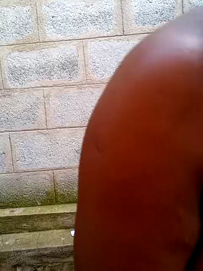 Babi_sham