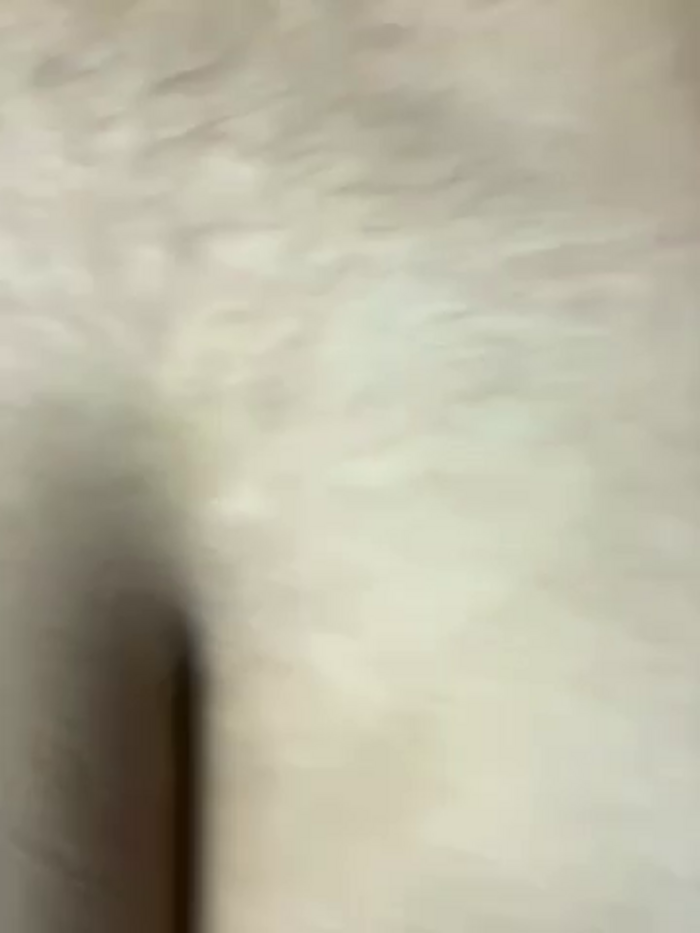 AbbyFtLuna