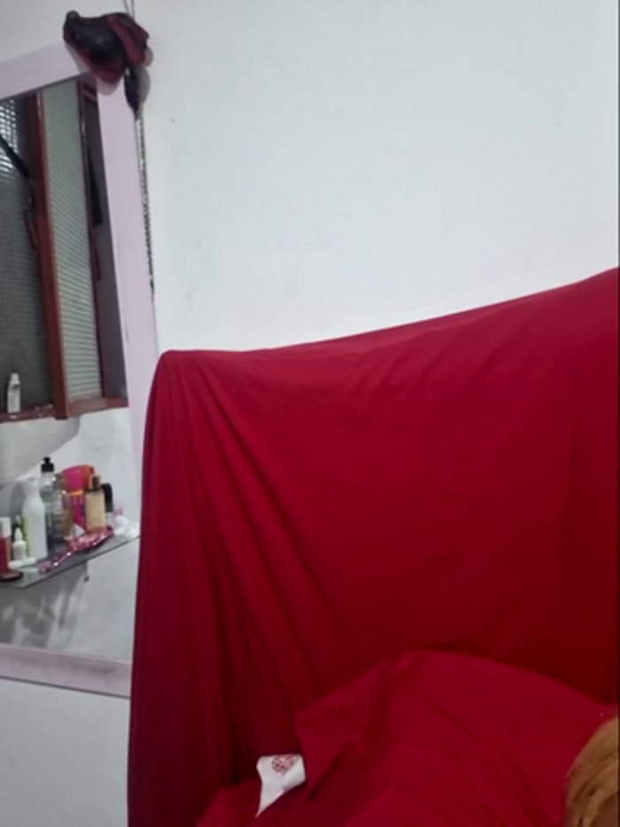 gatadeojosclaros