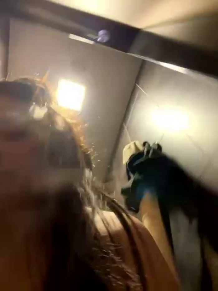 DoriDeluxe66