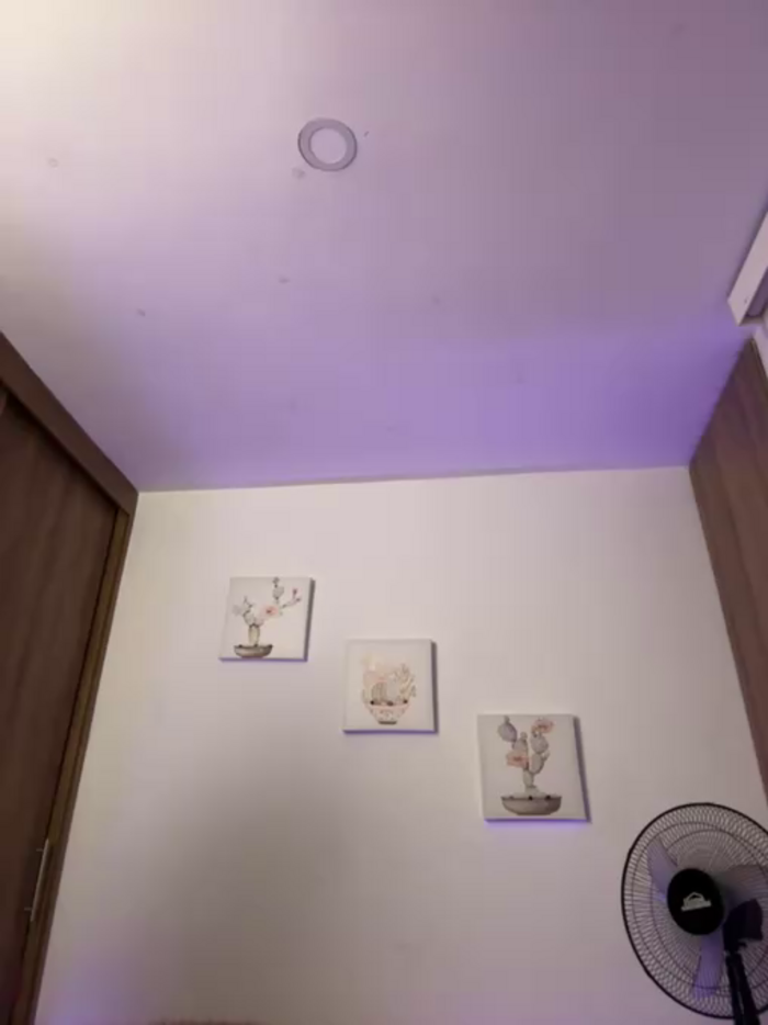 Megan_lu2