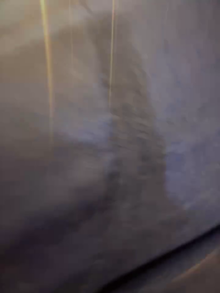 Insane_Issa