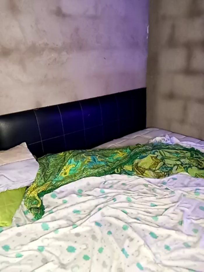 ariana_d20