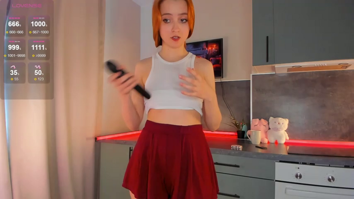 WallisZen