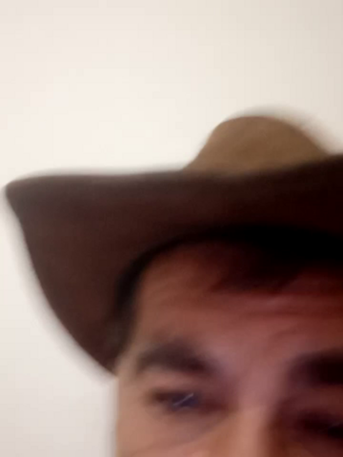 Peludo173317