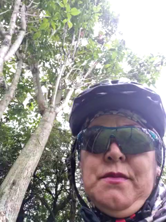emma_tour