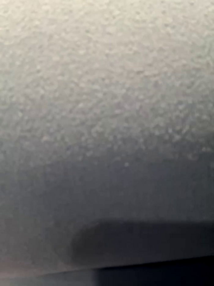 PussiesnCream_