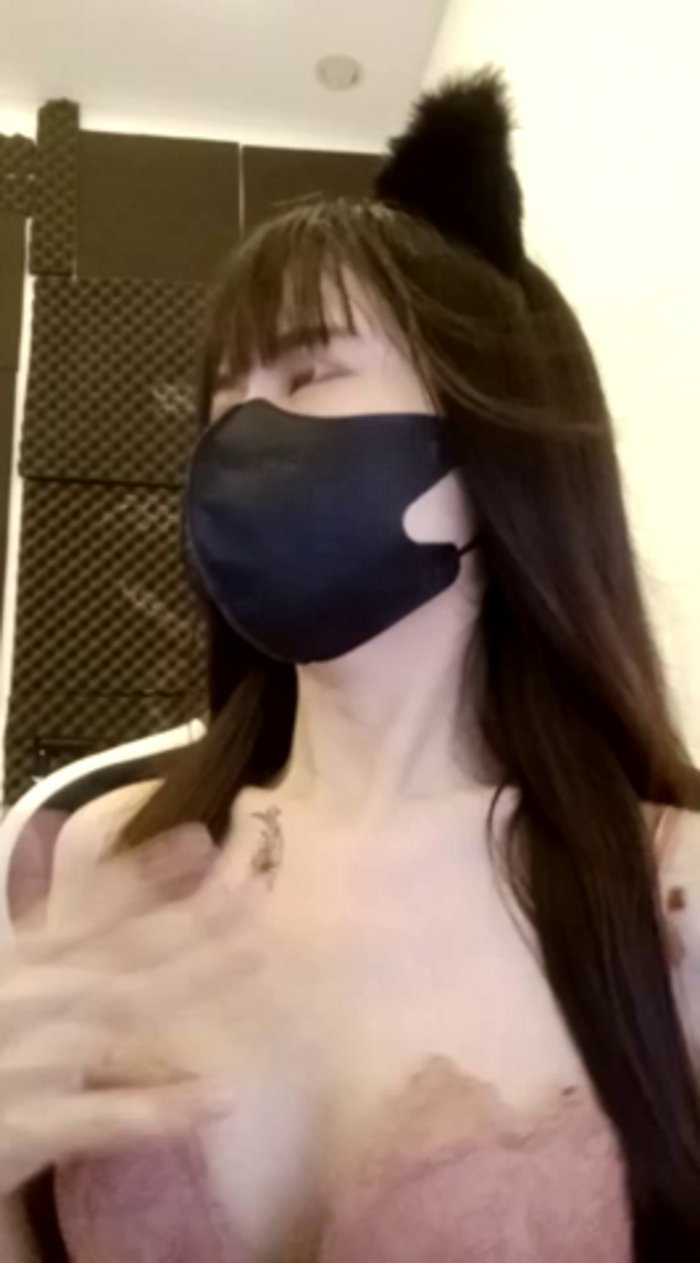 Cat_baby69