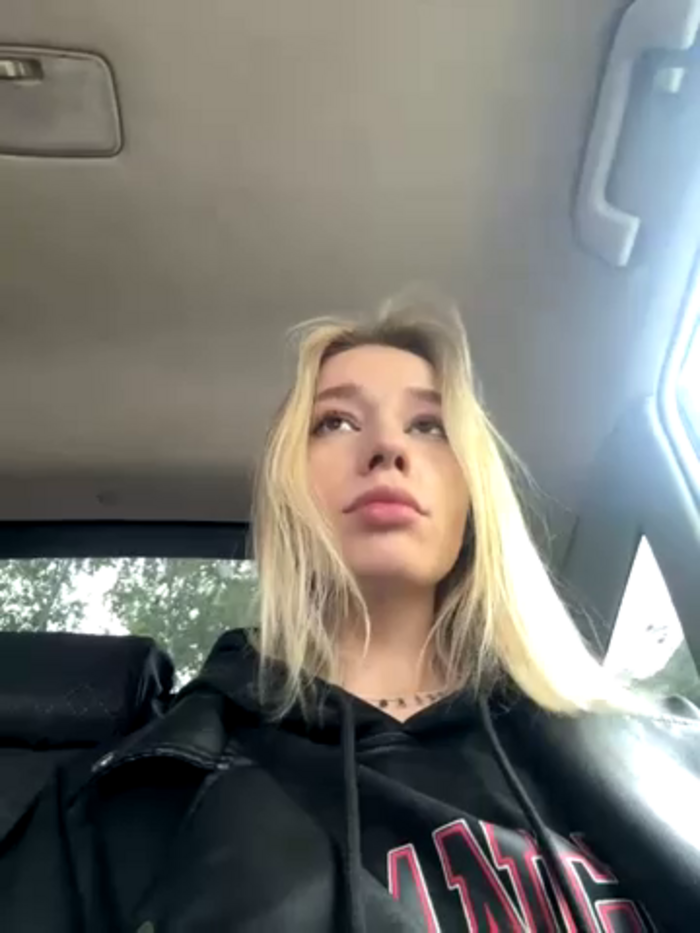 SSSATIVA_model