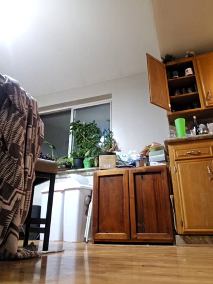 Armyexhibitionistveteran