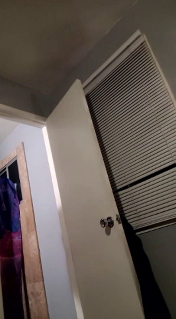 BBWLuscious1