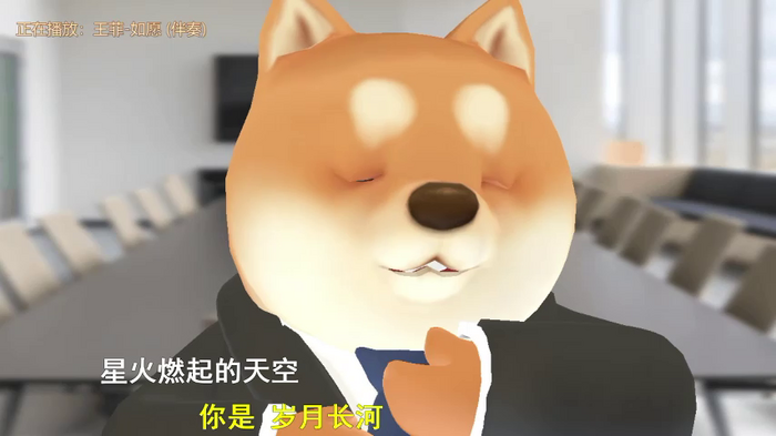 zz_xinxin