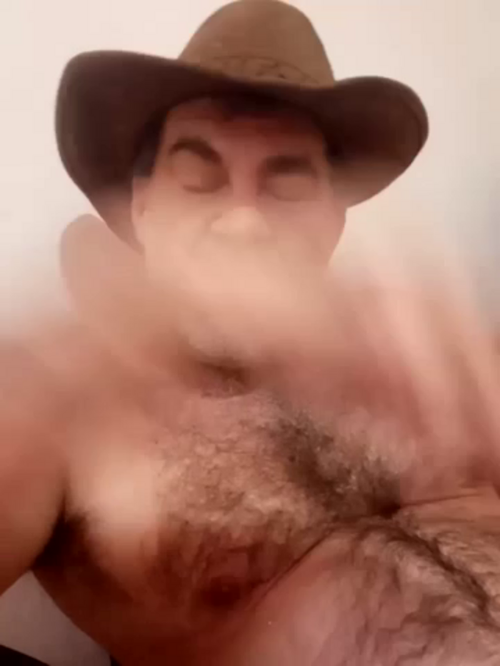Peludo173317