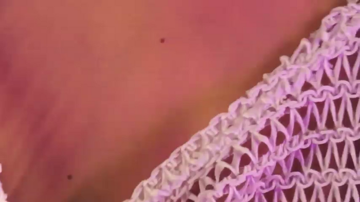 mishamalhotra