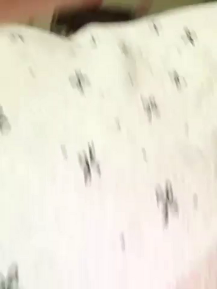 Asia-Lynn