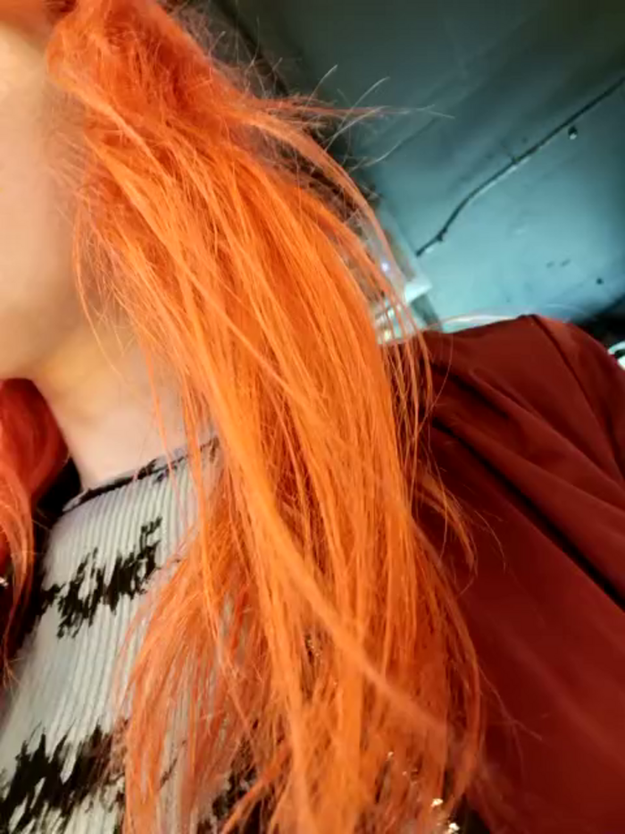 Frost_foxy