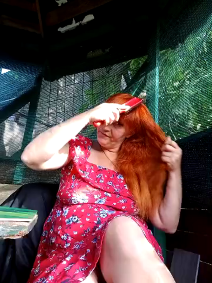 Xelenaxcbbs