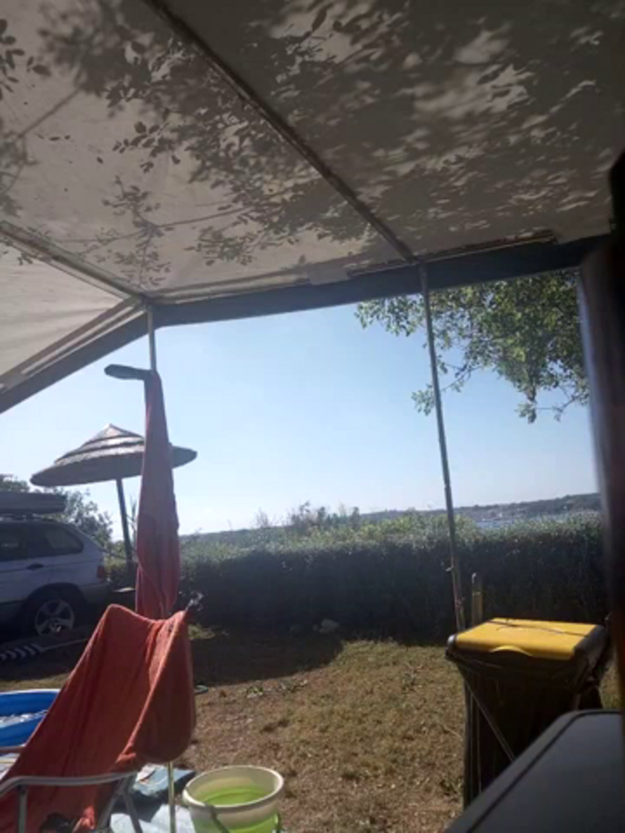 Luiza_Hammer