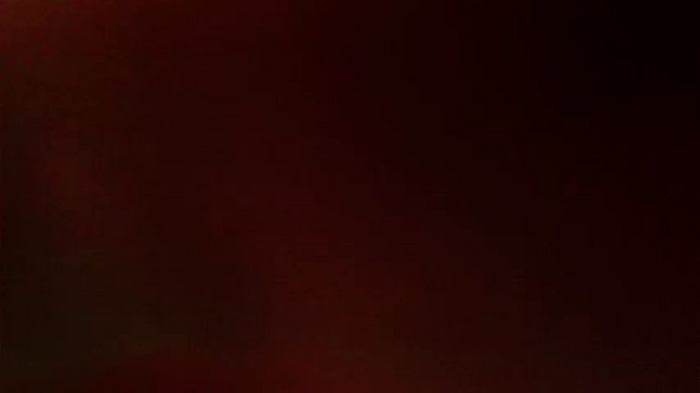 pako60_pako60_ver2