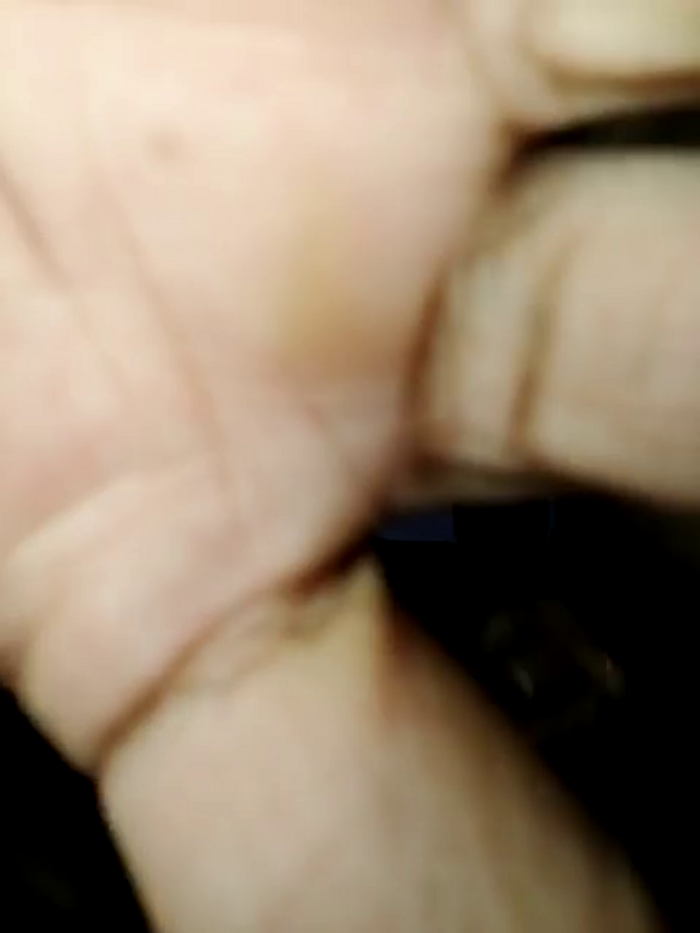 CrissDick11