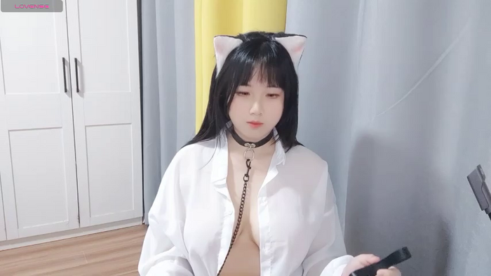 XIYAN9600