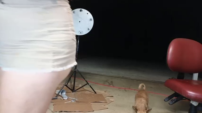 Foglove69