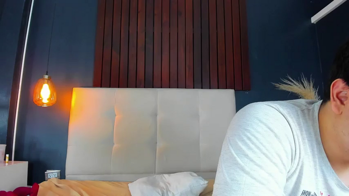 AllayFoxi