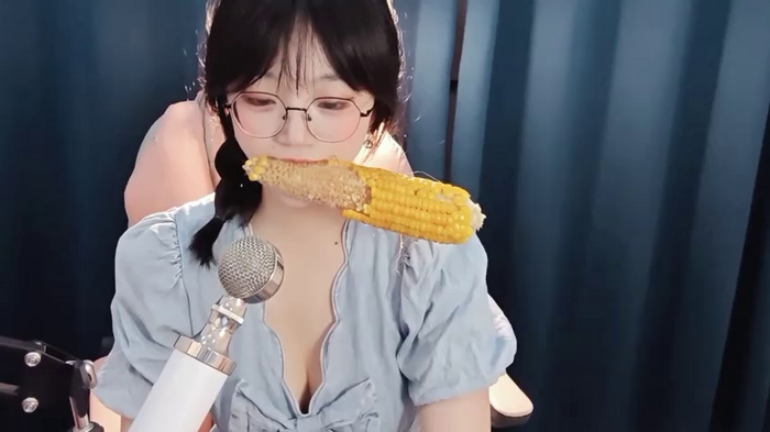 Xiaozi-01Z