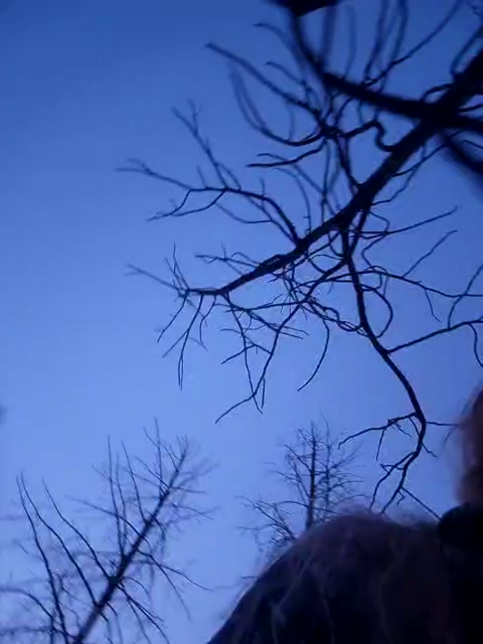 Jade_Heart2o