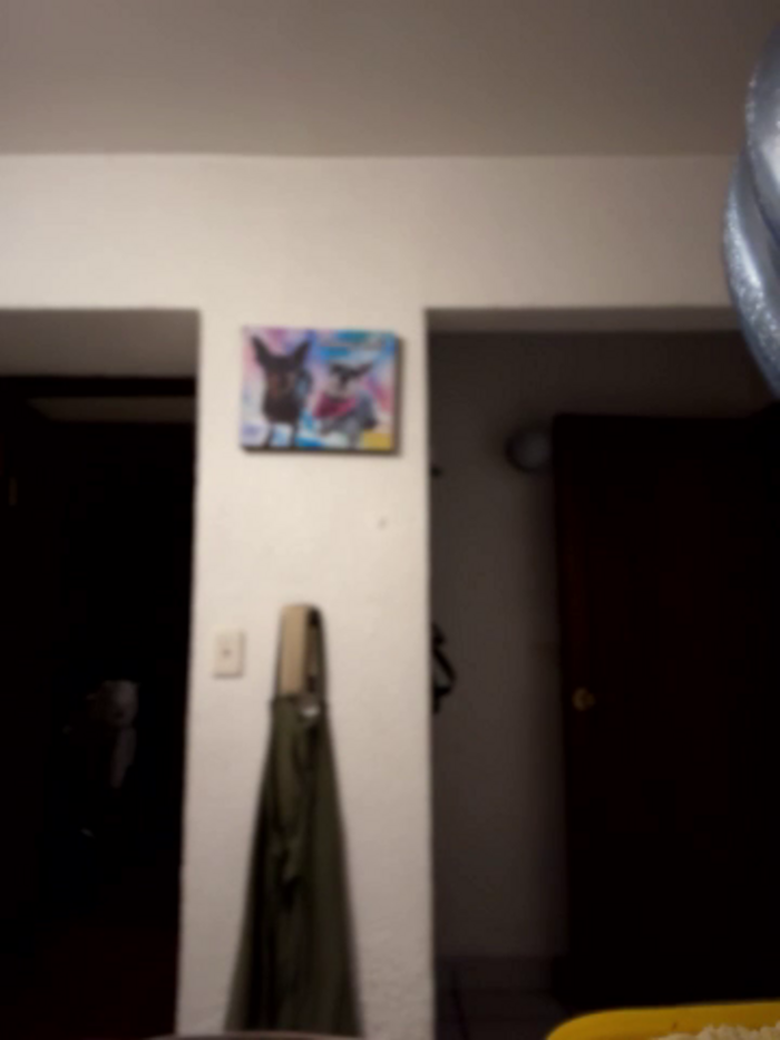 _gitana__