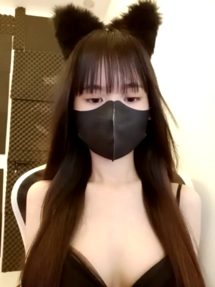 Cat_baby69