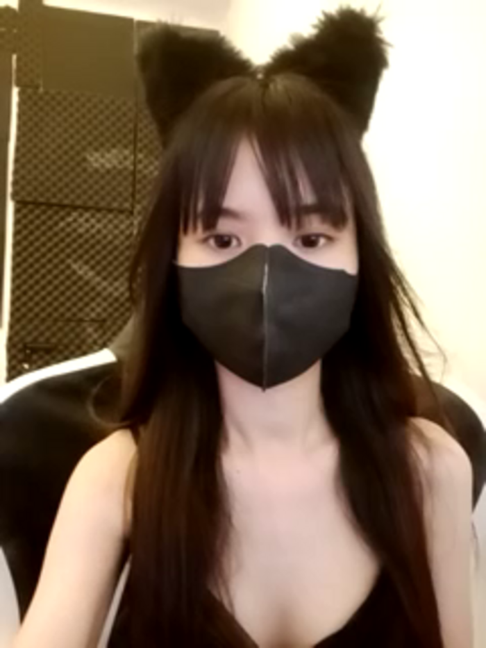 Cat_baby69