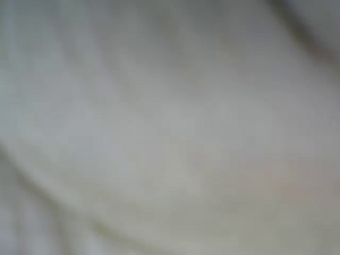 finly_claire