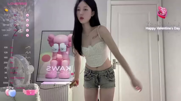 Aami-521